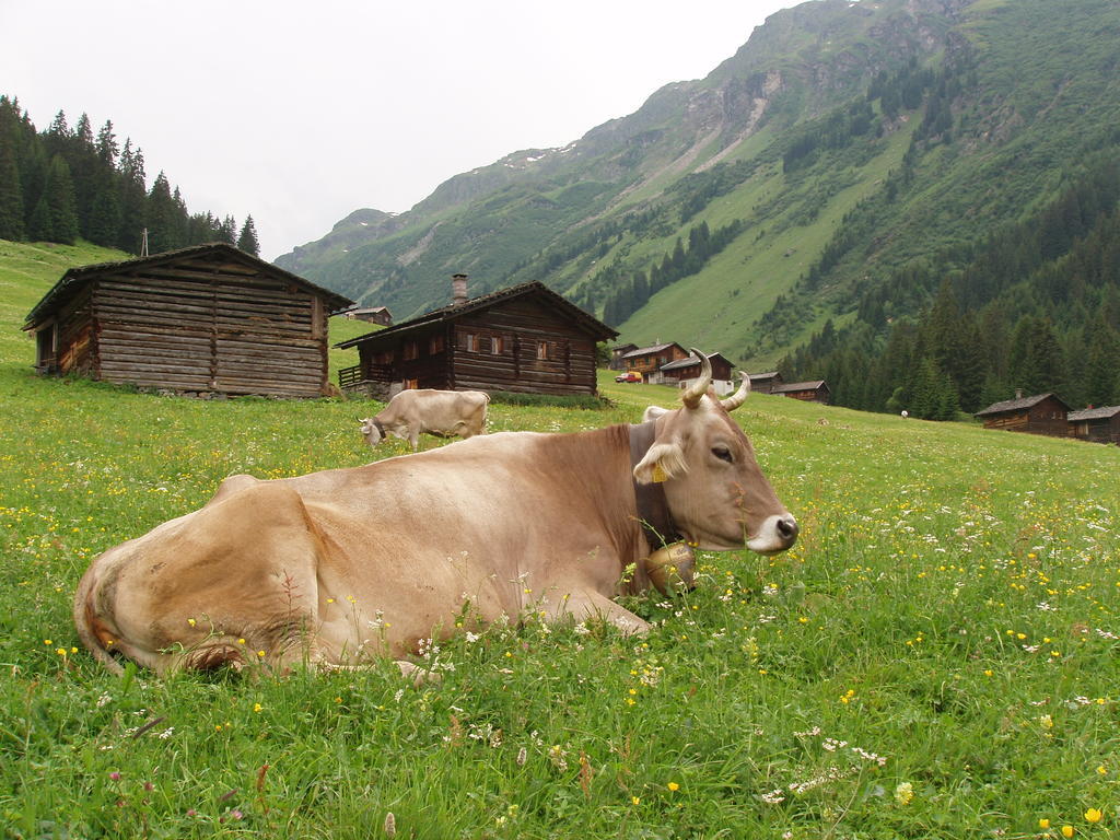 Appart Fernblick Gaschurn Exteriér fotografie
